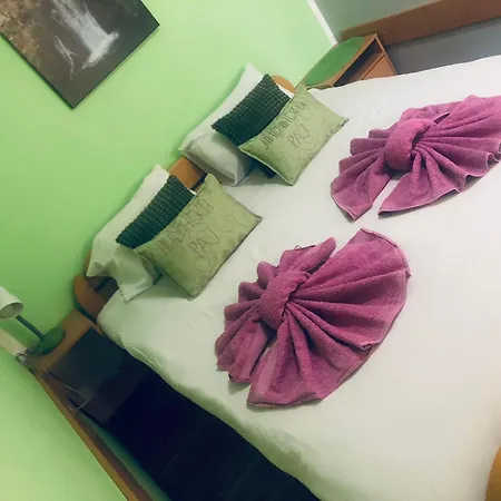 Lisinski Raj ديسبوتوفاتس