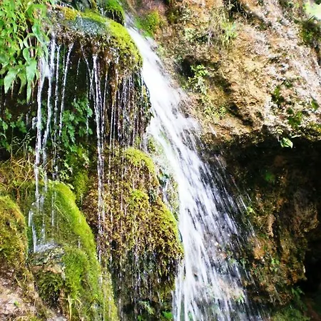 Lisinski Raj 3* Despotovac