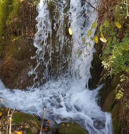 Lisinski Raj 3* Despotovac