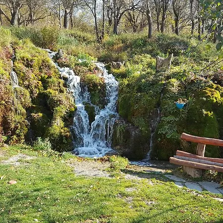 Lisinski Raj Гостевой дом Деспотовац