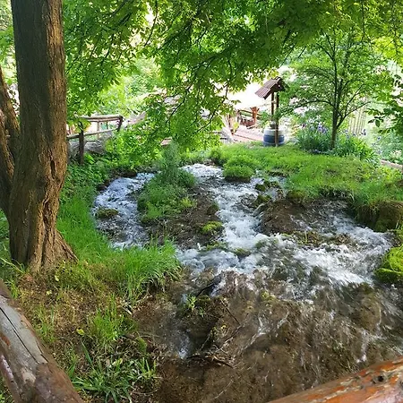 Lisinski Raj Гостевой дом Деспотовац