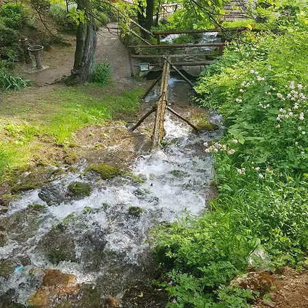 Guest house Lisinski Raj 3*