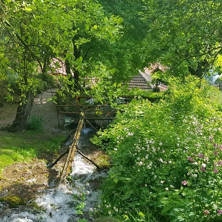 Lisinski Raj Guest house