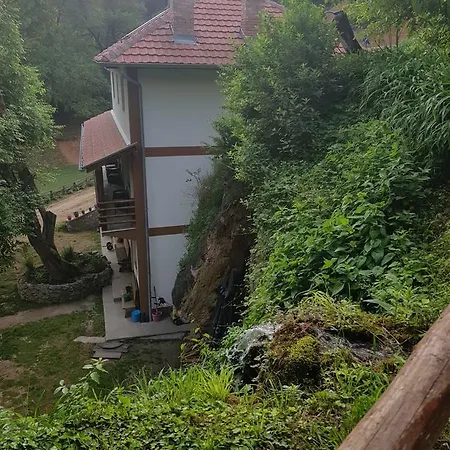 بيت ضيافة Lisinski Raj ديسبوتوفاتس