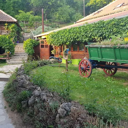 Lisinski Raj Guest house 3*