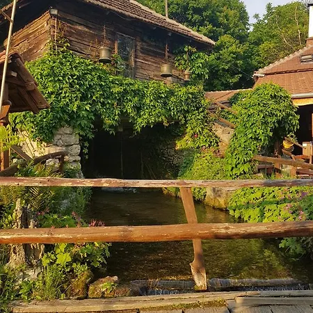Lisinski Raj Гостевой дом 3*