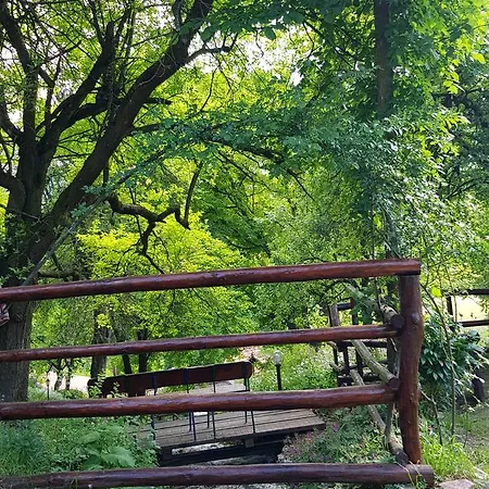 Lisinski Raj Despotovac