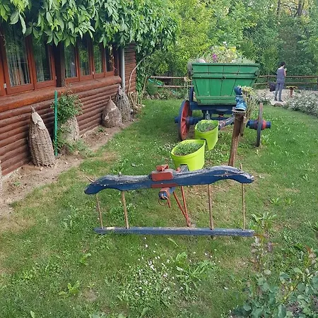 Guest house Lisinski Raj