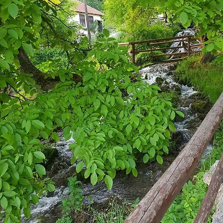 Lisinski Raj Guest house Despotovac