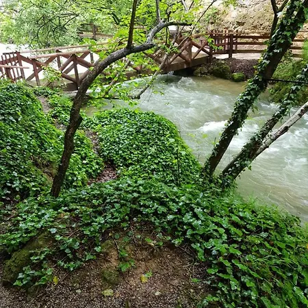 Guest house Lisinski Raj Despotovac