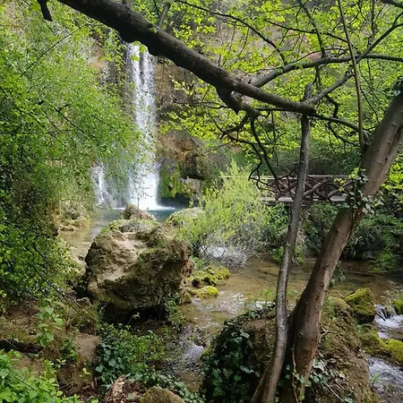Lisinski Raj 3* Деспотовац