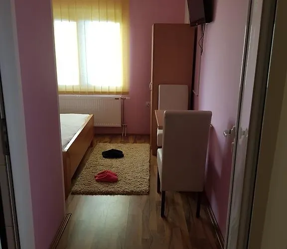 Pensiune Lisinski Raj