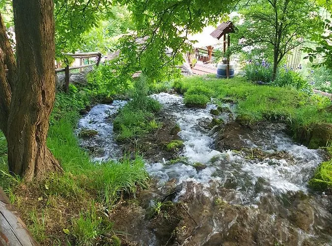 Lisinski Raj Pensiune Despotovac