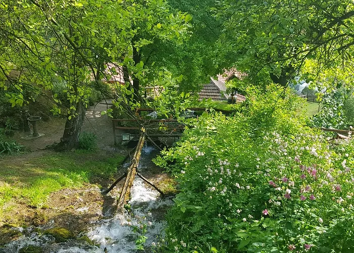 Lisinski Raj Pensiune