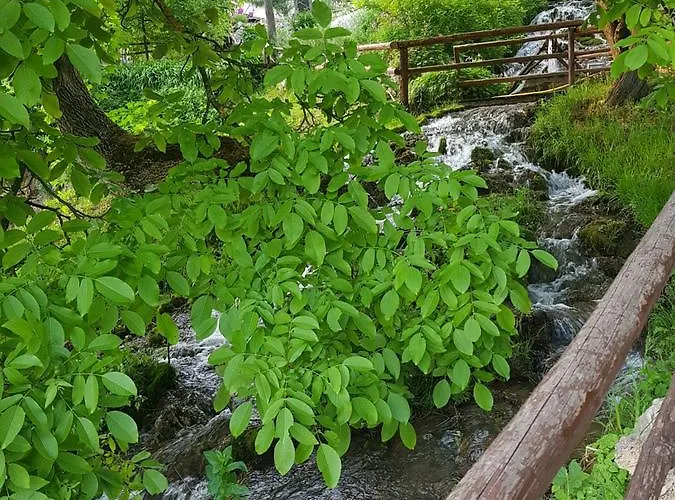 Lisinski Raj Pensiune Despotovac